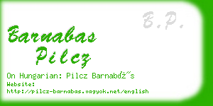 barnabas pilcz business card